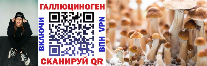 Галлюциногенные грибы MAGIC MUSHROOMS  Купить  Семилуки 